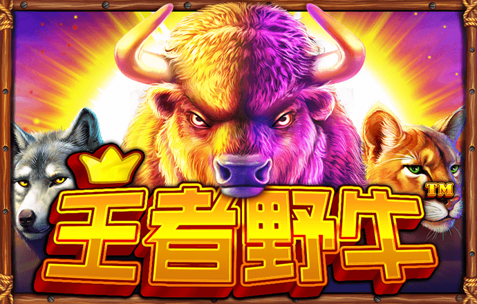kok全站下载